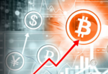 Как инвестировать биткоины под проценты?