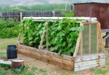 Дачные идеи: как и из чего соорудить простой парник на участке