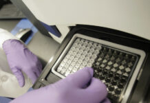 Директор Нацразведки США заявила, что биолаборатории на Украине обеспечивают «биобезопасность»