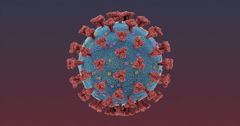 <br />
Как отличить кишечную форму коронавируса от легочной рассказали эксперты                