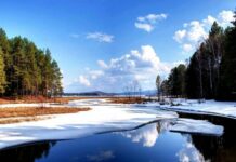 Какой церковный праздник сегодня, 19 марта 2022 года