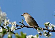 Какой сегодня праздник, 14 марта 2022 года, будут отмечать в разных странах