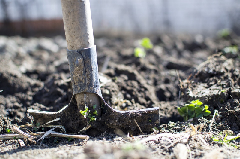 Когда сеять газон: главная ошибка садоводов и почему вам не следует торопиться