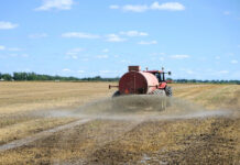 Мировые поставки удобрений находятся под угрозой из-за зависимости от России