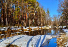 Народные приметы на 25 и 26 марта 2022 года: что можно и нельзя делать в эти дни? Народный календарь праздников Феофанов день, Никифоров день