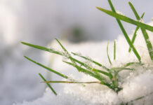 Народные приметы на 31 марта 2022 года: что нельзя делать в день Кирилла