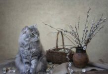 Основные запреты в Вербное воскресенье, на работу и не только