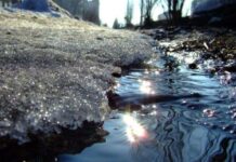 Приметы и поверья на 23 марта 2022 года