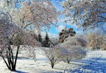 Приметы и поверья на 31 марта 2022 года, что нельзя делать в этот день