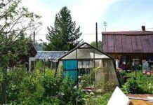 Российских дачников ждут проверки от Росреестра