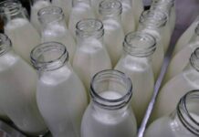 Сбои в поставках молока в России начались из-за отсутствия тары