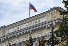 ЦБ предложил возвращать украденные мошенниками деньги за 30 дней: похищение, место преступления, грабь награбленное