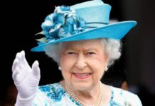 Езда без прав и блюда из дельфинов: какие законы Великобритании может нарушать Елизавета II