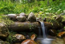 Какими целебными свойствами обладала вода на Вадима Ключника 22 апреля