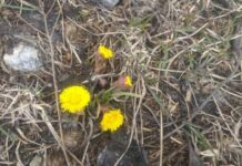 Какой церковный праздник сегодня, 10 апреля 2022 года чтут христиане