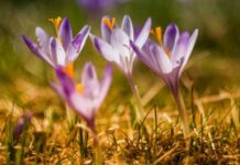 Какой церковный праздник сегодня, 12 апреля 2022 года, чтут верующие