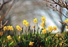 Какой церковный праздник сегодня, 25 апреля 2022 года, чтут верующие