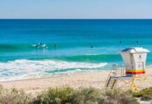 Кем могло быть существо, которое нашел австралиец на берегу моря