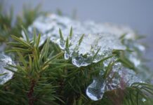 Народные приметы и праздники 19 апреля 2022 года, что нельзя делать в этот день, обряды