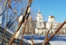 Почему в Вербное воскресенье 17 апреля 2022 года нельзя работать и переезжать на новую квартиру