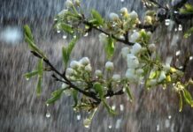 Приметы и поверья на 22 апреля 2022 года: что нельзя делать в этот день