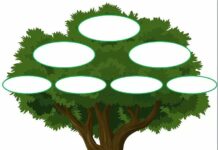 Выбор генеалога для создания родословной