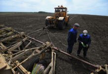 «Величайший голод в истории» может начаться в мире в 2023 году из-за дефицита удобрений