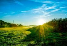 «Чтобы свадьбу до Покрова отгулять, на Якова Теплого алого не надевать». Народные приметы и запреты 13 мая