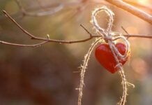 Дела сердечные: личная жизнь этих знаков зодиака круто изменится в июне 2022 года