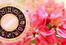 Гороскоп от Ирины Богдан на 17 мая 2022 года для всех знаков зодиака