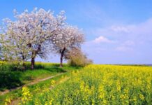 Гороскоп от Ирины Богдан на 20 мая 2022 года для всех знаков зодиака