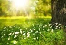 Гороскоп от Седашева на неделю с 30 мая по 5 июня 2022 года для всех знаков зодиака