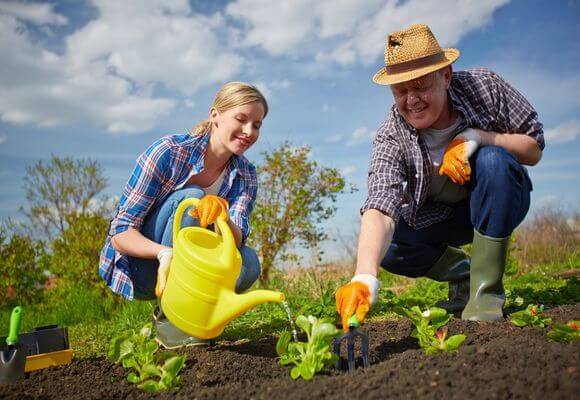<br />
Как использовать перекись водорода в саду и огороде: проверенный рецепт средства                