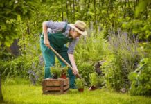 Как не сорвать спину во время посадок на даче: советы российского врача