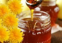 Как приготовить вкусное и необычное варенье из одуванчиков по классическому рецепту