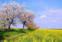 Как весну «одевали» в новое платье на Ивана Ветхопещерника 2 мая