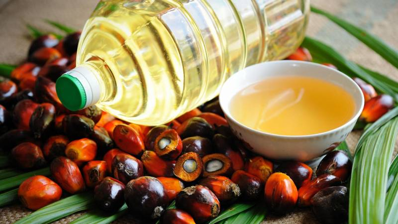 <br />
Как запрет экспорта пальмового масла отразится на жизни россиян в 2022 году                