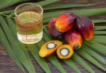 Как запрет экспорта пальмового масла отразится на жизни россиян в 2022 году