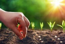 Какой церковный праздник сегодня, 19 мая 2022 года, отмечают верующие