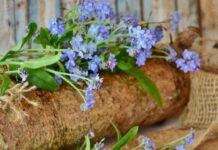 Какой церковный праздник сегодня, 24 мая 2022 года, отмечают верующие