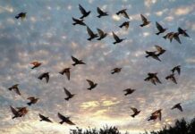 Какой церковный праздник сегодня, 8 мая 2022 года, отмечают верующие