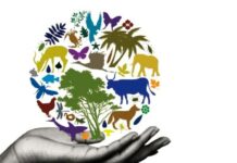 Какой праздник отмечают в России и мире сегодня, 22 мая 2022 года