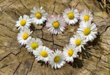 Какой праздник отмечают в России и мире сегодня, 29 мая 2022 года