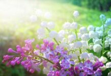 Какой праздник в России и мире отмечают 4 мая 2022 года: день в истории и именинники