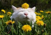 Конфликты и расставания: какие эмоции могут помешать хорошо провести майские праздники