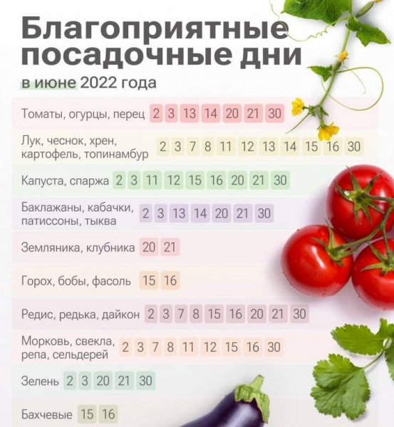 <br />
Лунный календарь дачника на лето 2022 года: что и когда лучше садить                