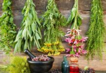 Народный праздник день Девяти целителей 12 мая. Почему запрещалось сидеть дома, хвастаться и завидовать