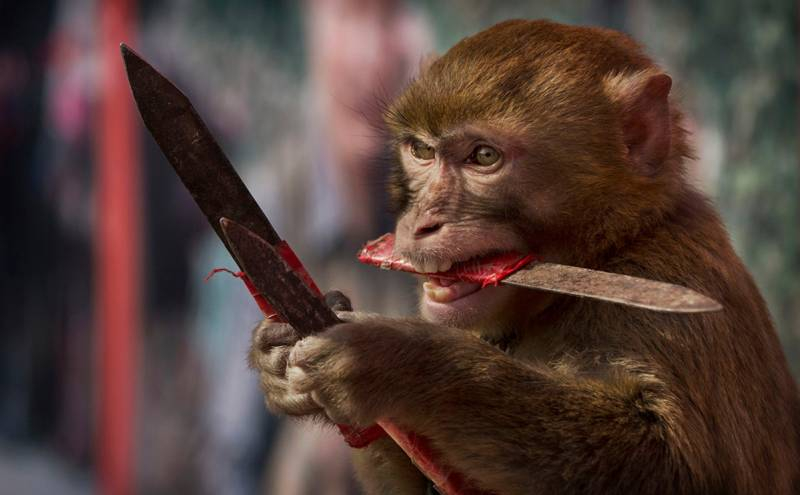 <br />
Не коронавирусом единым: миру угрожает новая пандемия обезьяньей оспы                