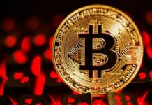 Обрушение и подъем курса биткоина в мае 2022 года: что будет с криптовалютой в будущем