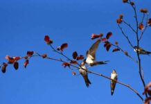 Почему день Федора Житника 29 мая считался самым несчастливым в году